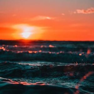 Meet your Posher, Avery